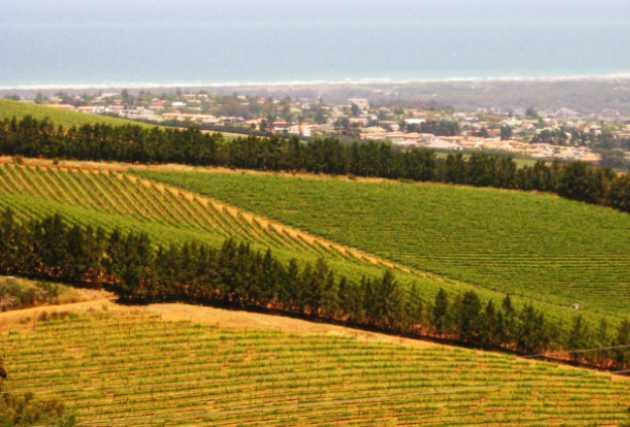 Stellenbosch Accommodation