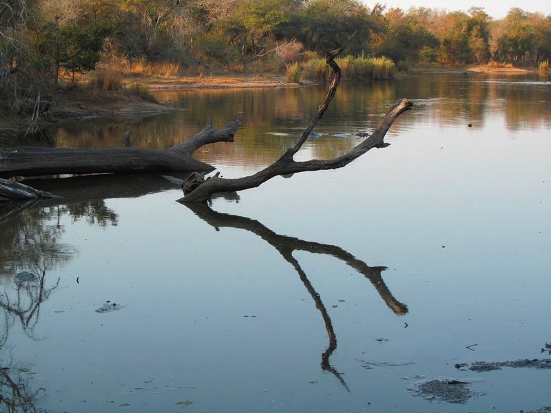 Lake Panic Hide near Skukuza, Kruger National Park