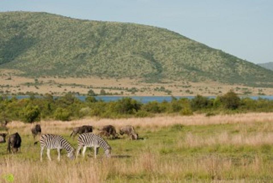 Pilanesberg Game Reserve