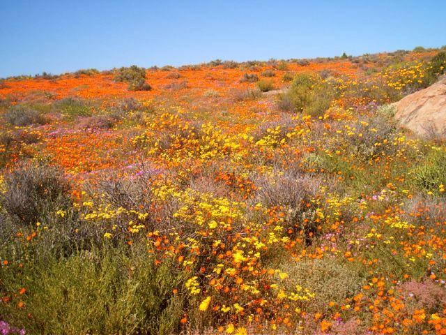 Garies Bed and Breakfast