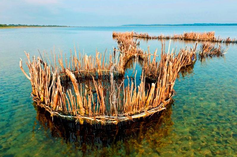 Kwangwanase Camping/Caravanning