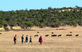 Maasai Mara National Reserve Accommodation