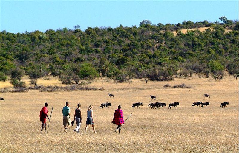 Maasai Mara National Reserve Accommodation