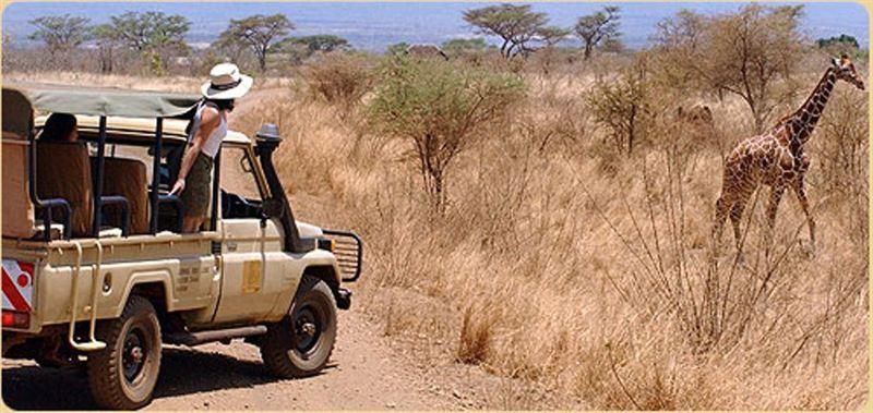 Meru National Park Bed and Breakfast