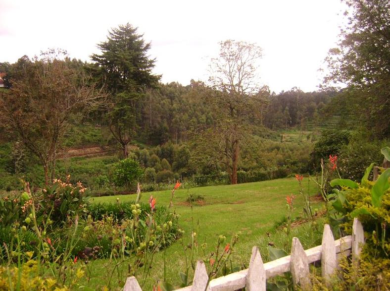 Limuru Accommodation