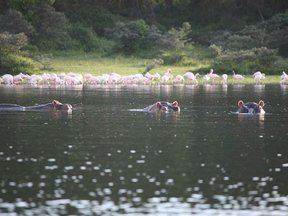 Lake Naivasha Accommodation