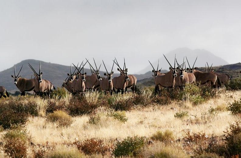 Keetmanshoop