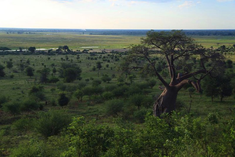 View from Ngoma Safari Lodge