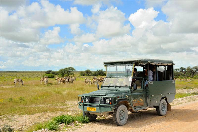 Etosha National Park Accommodation