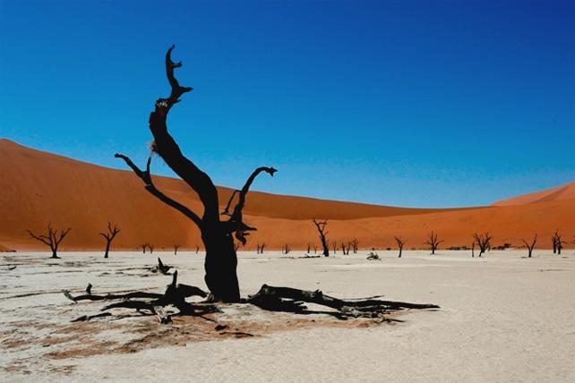 Sossusvlei Accommodation