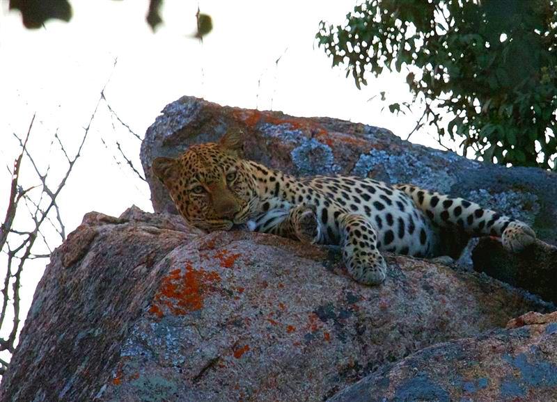 Matobo National Park Accommodation