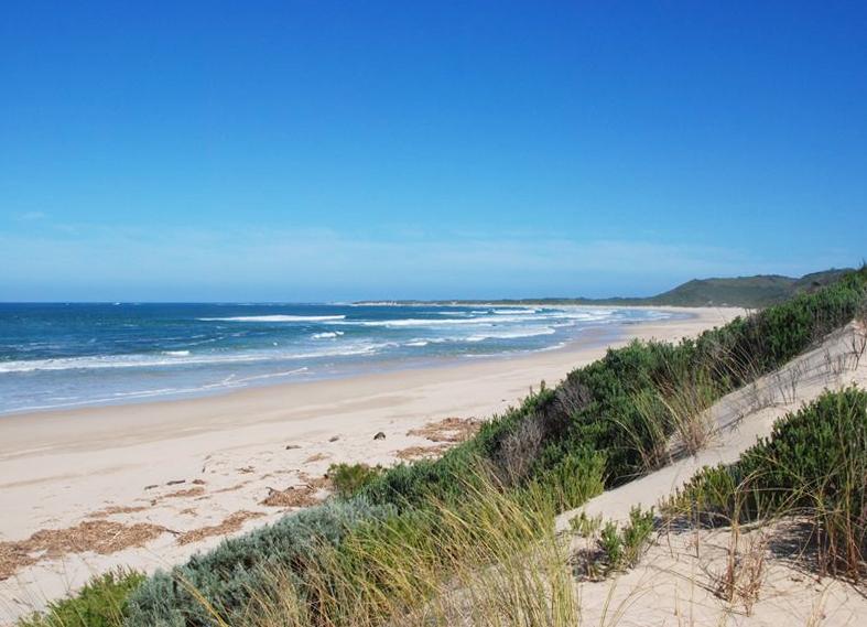 Oyster Bay Accommodation