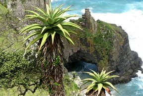 Wild Coast Accommodation. Discover Top-Rated Wild Coast Hotels.