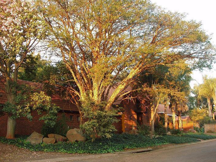 Faerie Glen Guest House