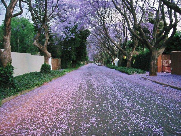 Parkwood Self-catering