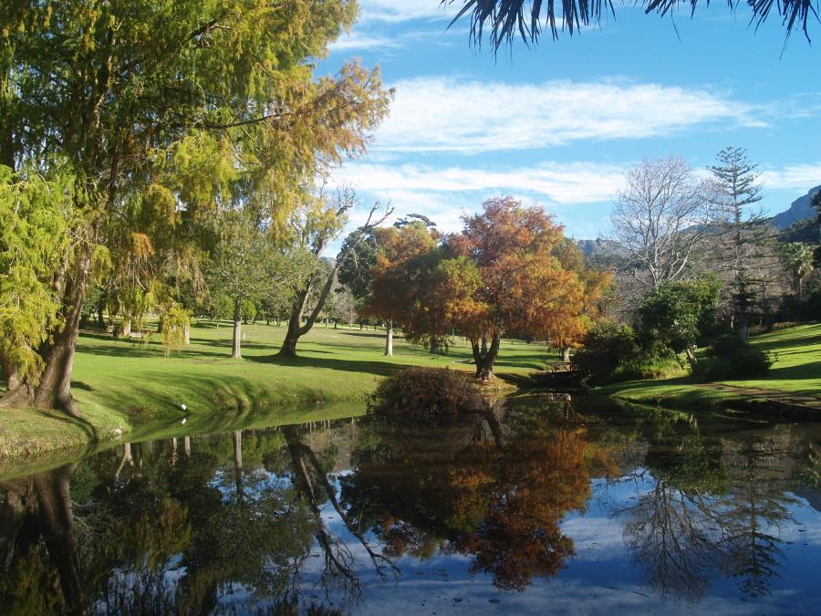 Wynberg Accommodation