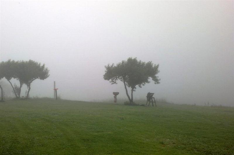 Grass and Wetlands Travel Guide