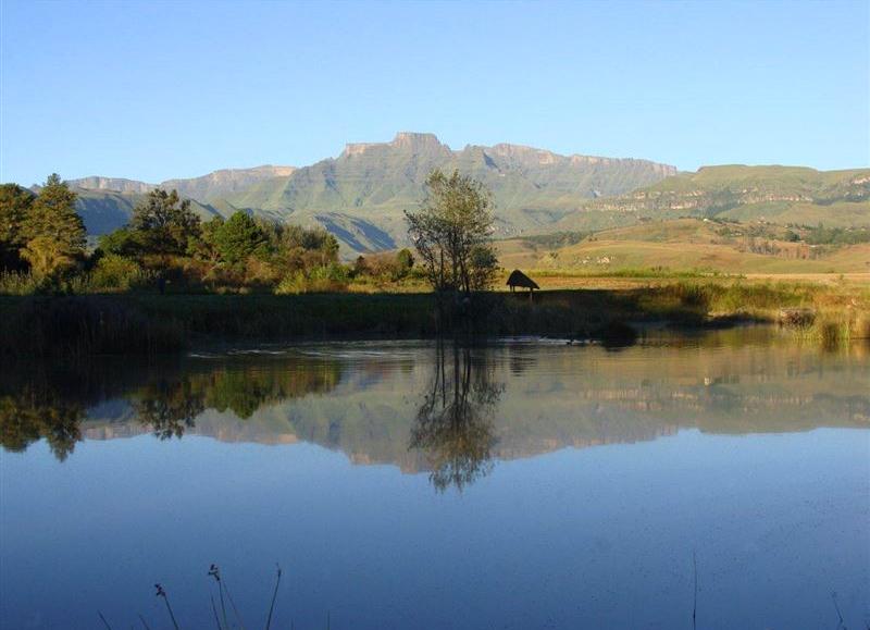Drakensberg Park (World Heritage Site) and surrounds Accommodation