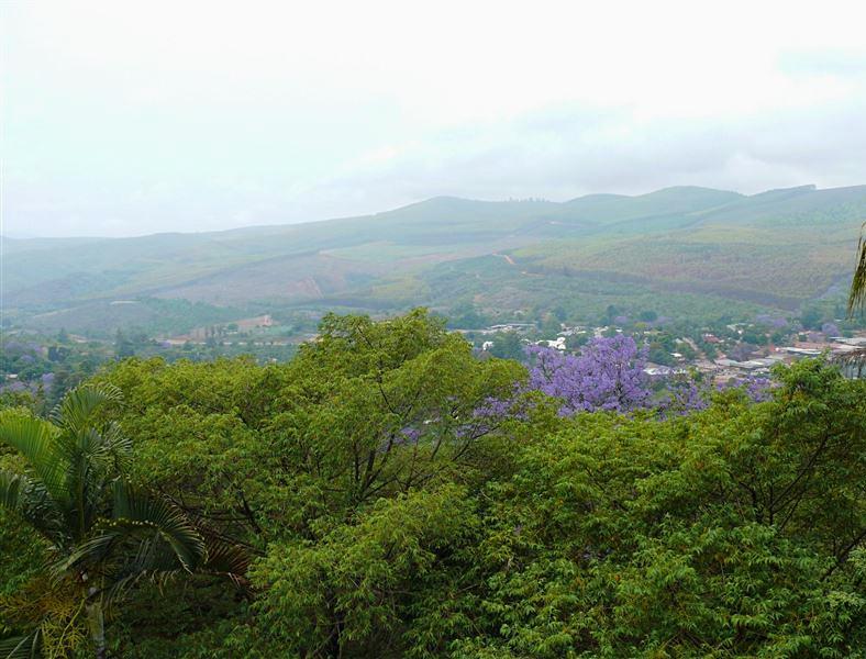 Modjadjiskloof Accommodation