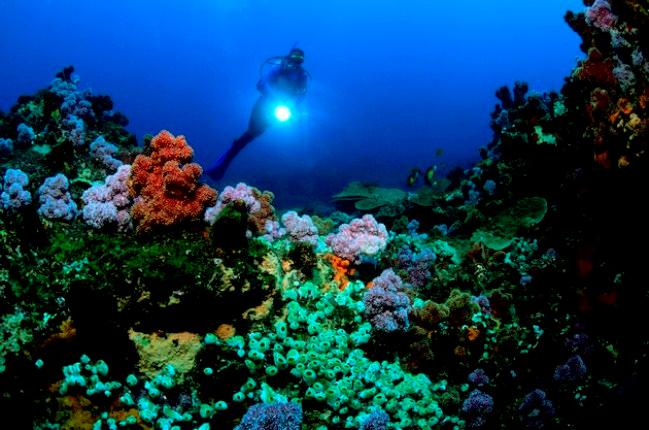 Greater St Lucia Wetland Park Accommodation