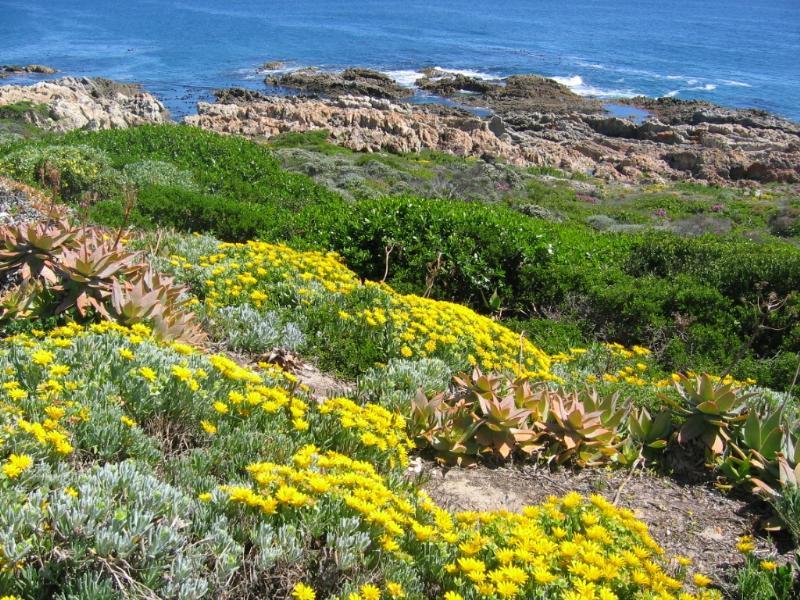 Kleinbaai Self-catering