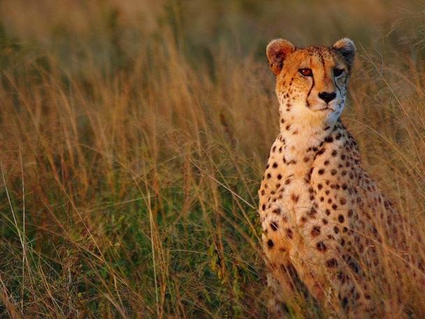 Kafue National Park Lodge