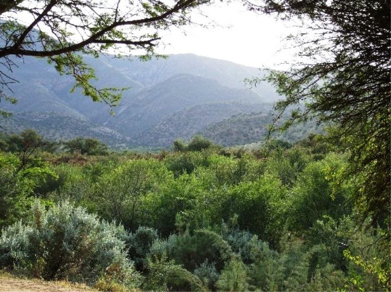 Steytlerville Package Deal