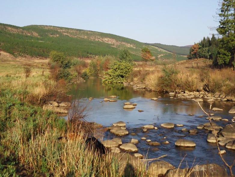 Dargle Bed and Breakfast