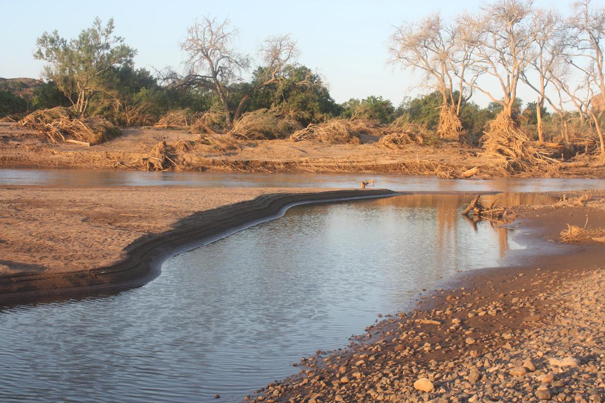 Alldays Safari Package