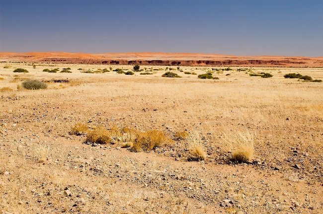 Namib Region