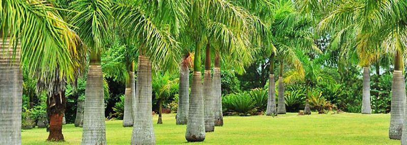 Matsapha Self-catering