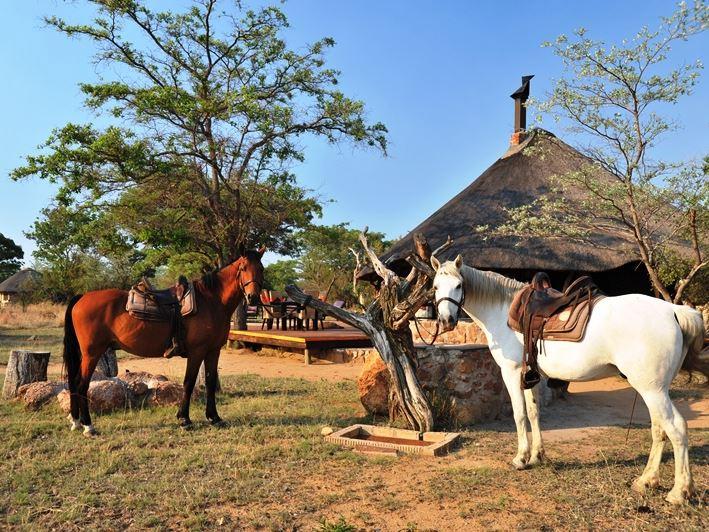 Mabula Private Game Reserve Accommodation