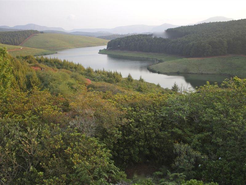 Magoebaskloof Accommodation