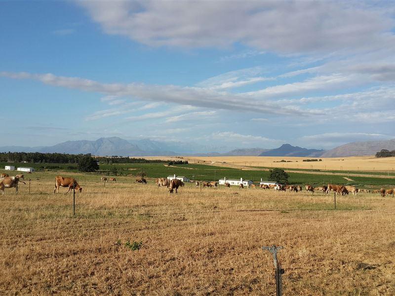 Swartland Accommodation