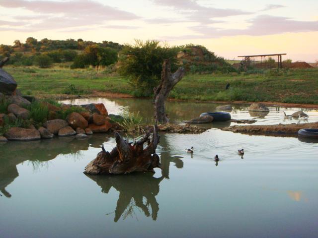 Langenhoven Park