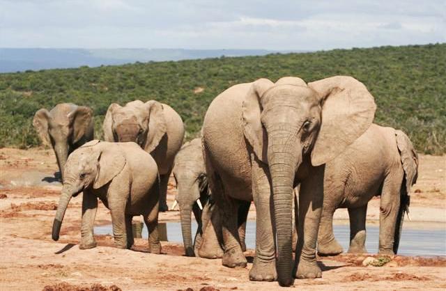 Kirkwood Guest House