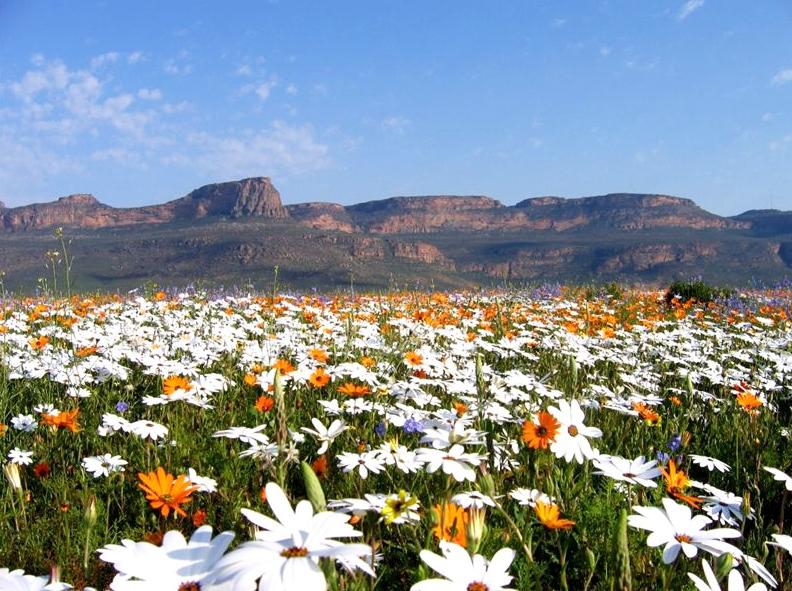 Klawer Accommodation