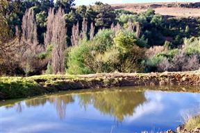 Verkykerskop Travel Guide