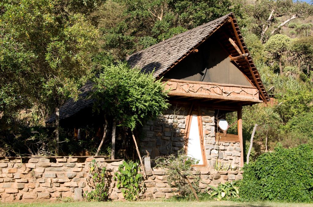 Desert Rose Lodge | Mount Nyiru Lodges