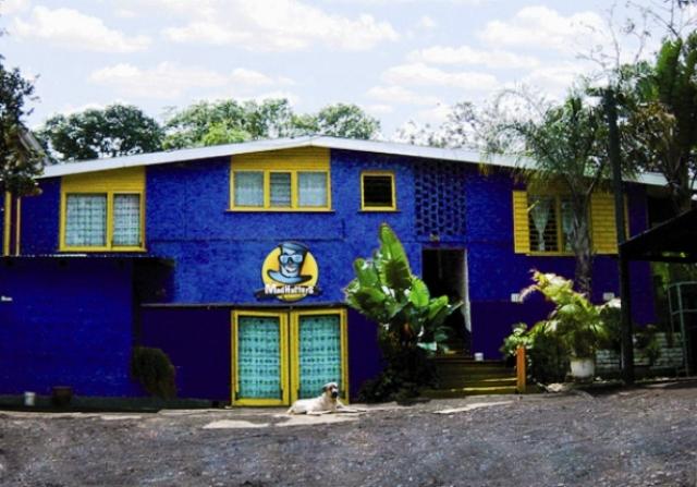 Mad Hatters Lodge and Backpackers | Port St Johns Accommodation