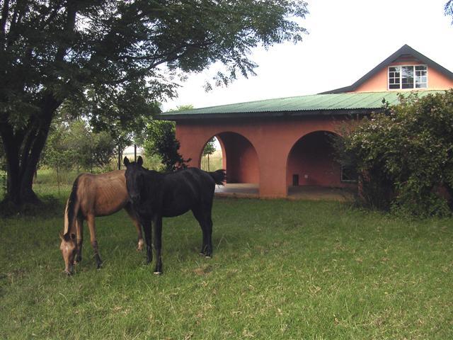 Marmalade Cottage | Accommodation Bergville