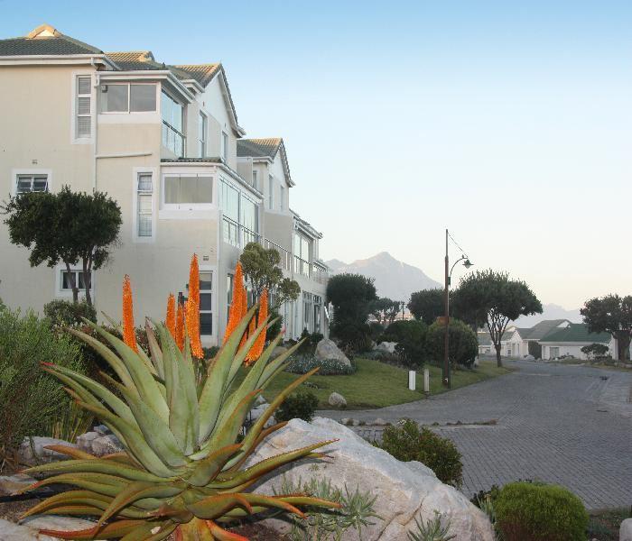 The Potting Shed Self Catering | Self-catering Westcliff (Hermanus)