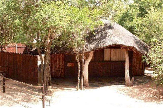 Off Beat Safaris Bush Camp | Accommodation Hoedspruit