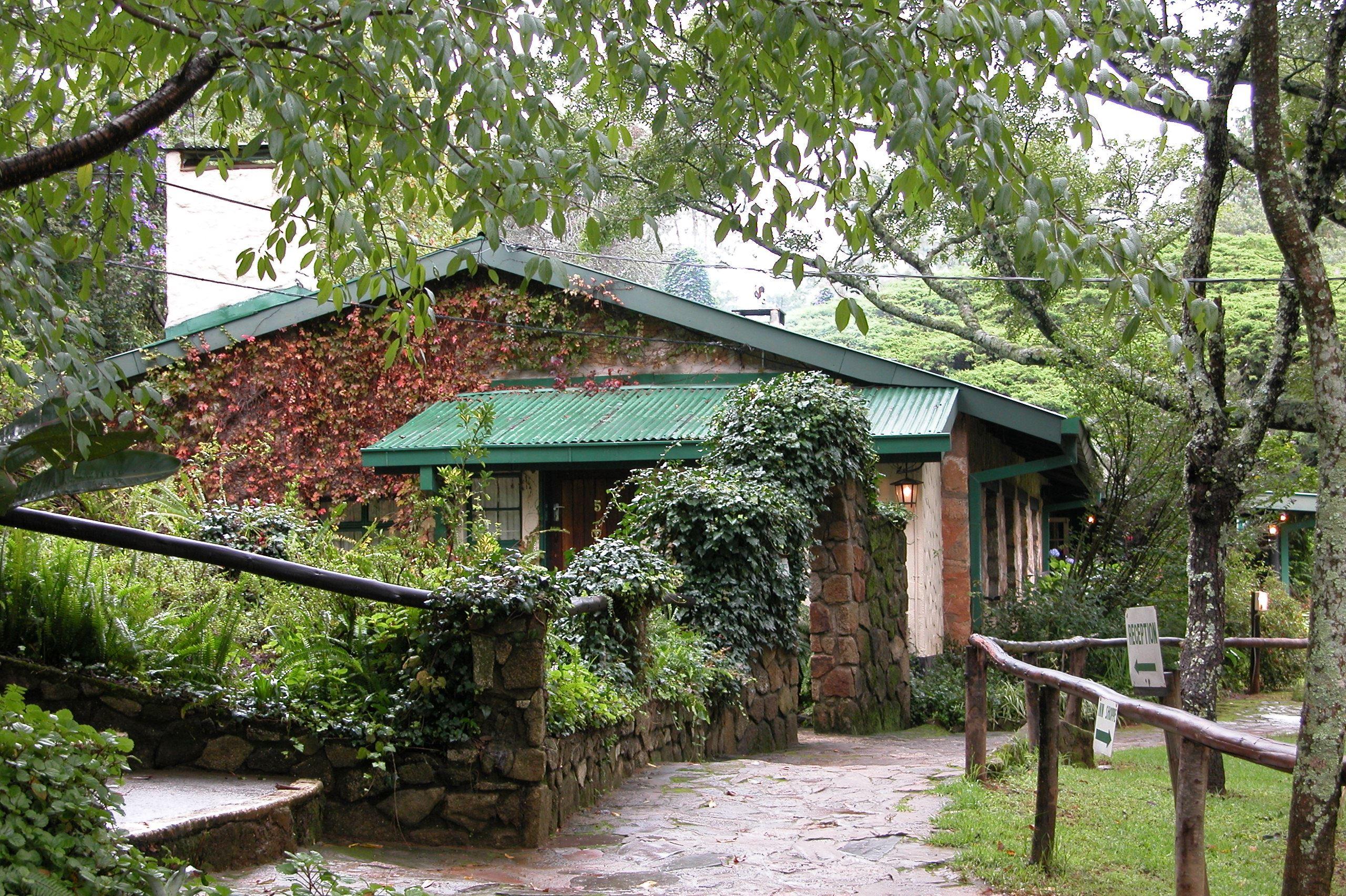 Pine Tree Inn