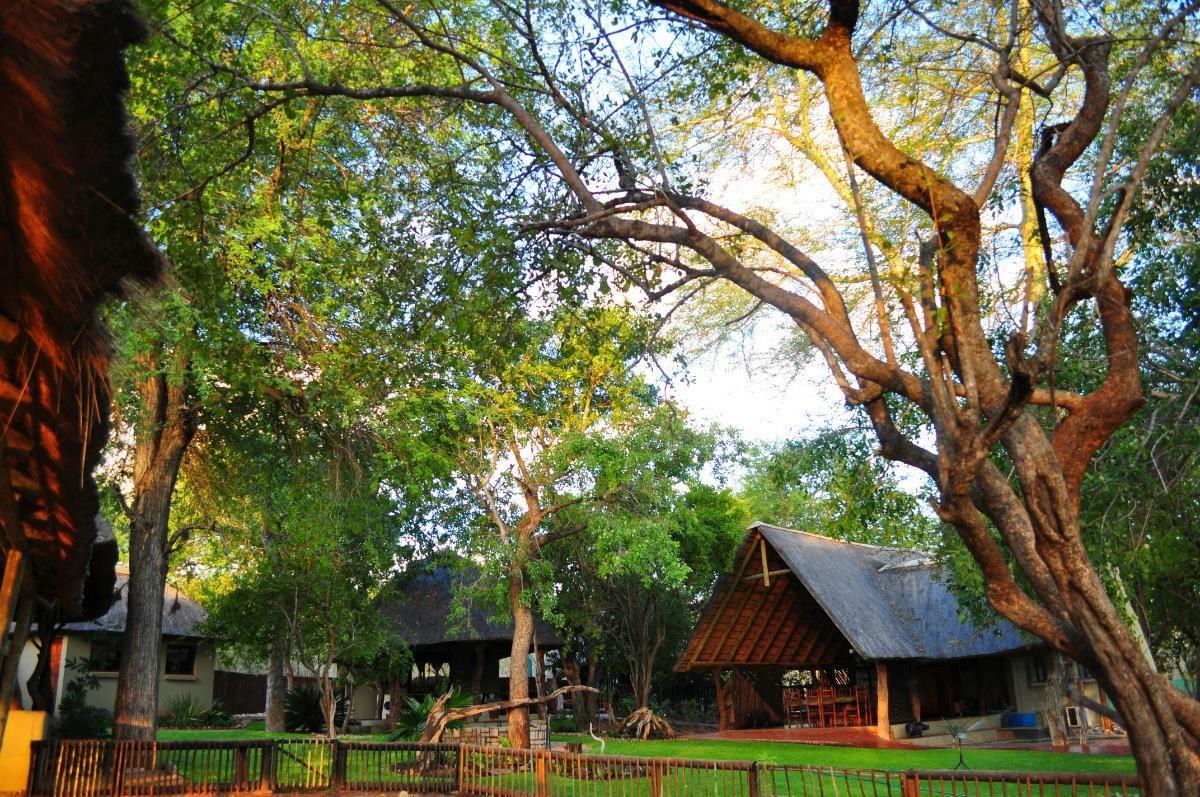 Janala Game Lodge | Accommodation Phalaborwa
