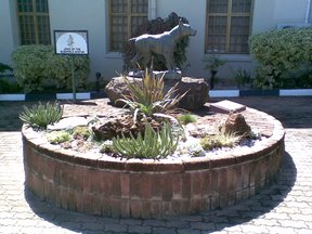 Jock Of The Bushveld Statue