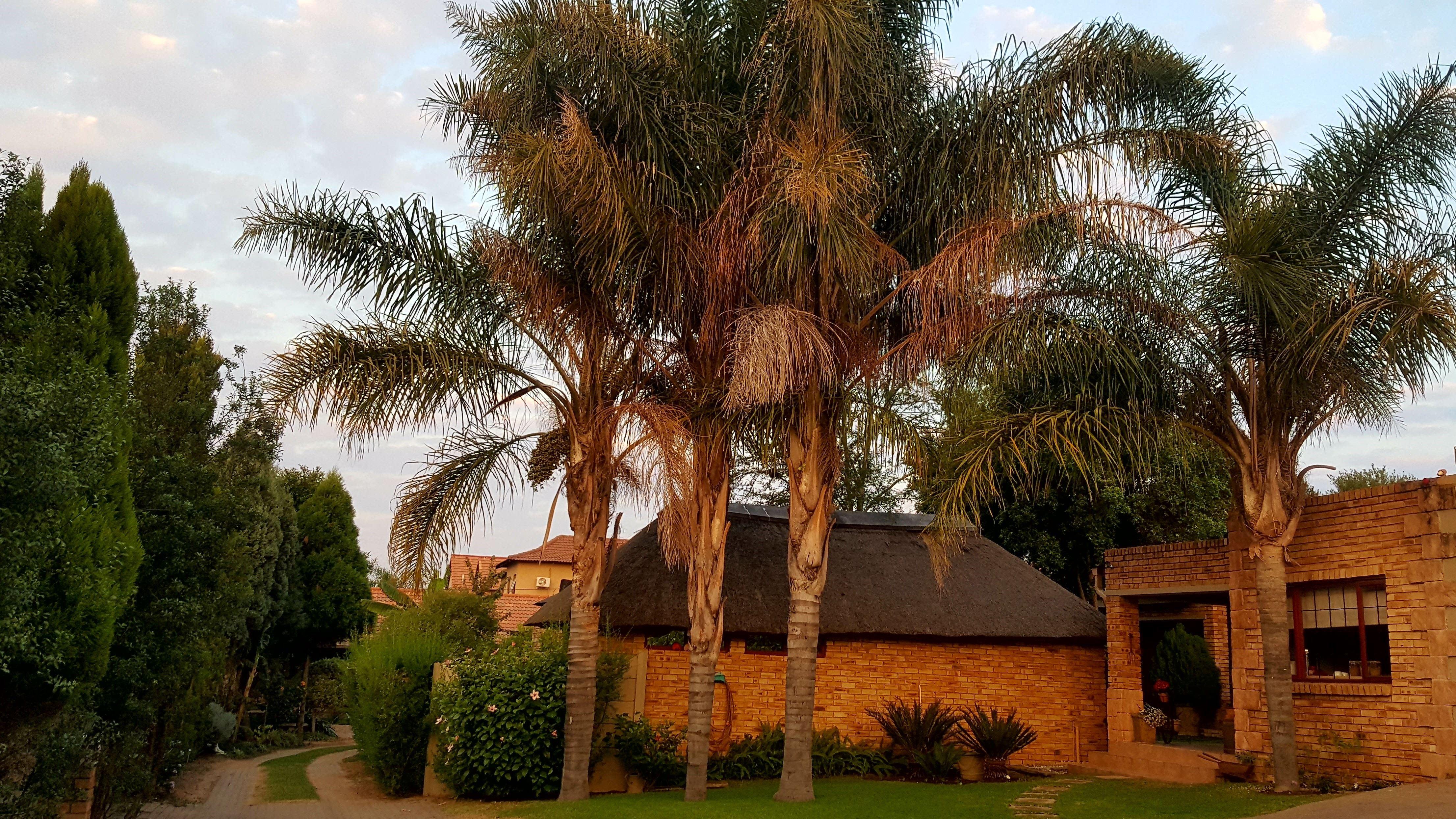 Citrus Lane Guesthouse | Accommodation Olivedale