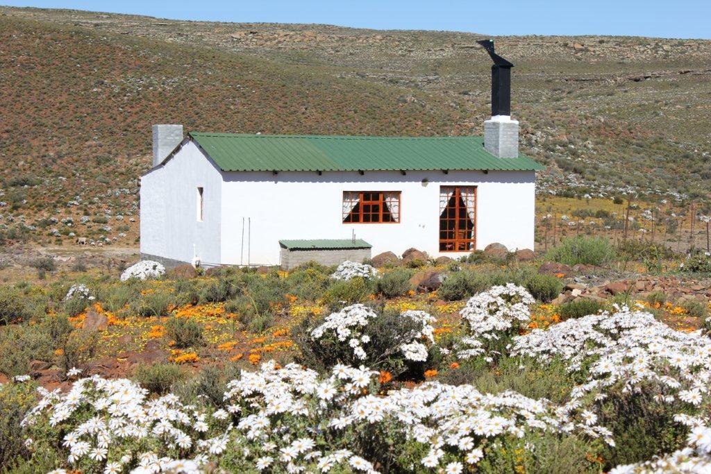 Middelfontein Farm | Accommodation Sutherland