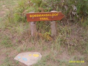 The Boesmanskloof Trail winds through the only gap in the rugged Riviersonderend mountain range. It is in the Robertson Karoo region of the south-western Cape. The trail links the small towns of Mcgregor in the north to Greyton in the south. It has become on of the most popular trails in the Western Cape, especially as the beautiful colonial-style town of Greyton lies at the one end. 

The length of the trail is approximately 15,8 km and may be hiked within one day. It can be started from either Mcgregor or Greyton. While the trail lies just outside Greyton, it only commences 14 km to the south of Mcgregor at Die Galg.
Hikers may often choose to walk the trail there and back (a total of 28 Km ) and overnight in either of the two towns. Another delightful option is to begin the trail at Mcgregor and walk to Greyton, stay the night at the Post House Tel. (02822 9995) and return to Mcgregor the following day.
Useful Information
This is winter rainfall area (generally cold and wet) and the summer months are extremely warm and dry. Water may be required during the summer months. Physically the trail requires a reasonable degree of fitness as it continuously ascends, descends and contours the slopes of Boesmanskloof.
Permits are necessary, obtainable from the Sonderend State Forest in Robertson. No overnight camping is allowed on the trail. There is however, a municipal campsite in Greyton. Because the trail requires between 4 - 5 hours to complete, there is plenty of time for swimming and enjoying the views.
How to get there?

See directions from Cape Town to Greyton. Alternatively from Cape Town follow the N1 to Worcester (about 100 km), turn from the N1 to Robertson (about 55 km) and from there to Mccregor (about 25 km)
Main Attractions
The main attractions along the route are the spectacular mountain scenery; large rock pools waterfalls and Lovely Cape wildflowers. Highlights include views of the majestic Riviersonderend Mountains, with their steep gorges and the lush Greyton and Mcgregor valleys. Water is abundant in large rock pools.
There is a great diversity of plant species - many different Protea and Erica species occur here. The stream conebush and wild almond grow along the watercourses.
Animals found in the area include the duiker, Grey rhebuck, klipspringer, baboon, dassie and spotted genet. Leopard is very rare. Among the birds, species like the Black and booted eagle, Cape Sugarbird, malachite sunbird and other are found The hike is extremely popular among tourists and City dwellers. It is a total get-away and only one and a half-hours drive from Cape Town. Just being in Greyton itself is a walk into another world. 
