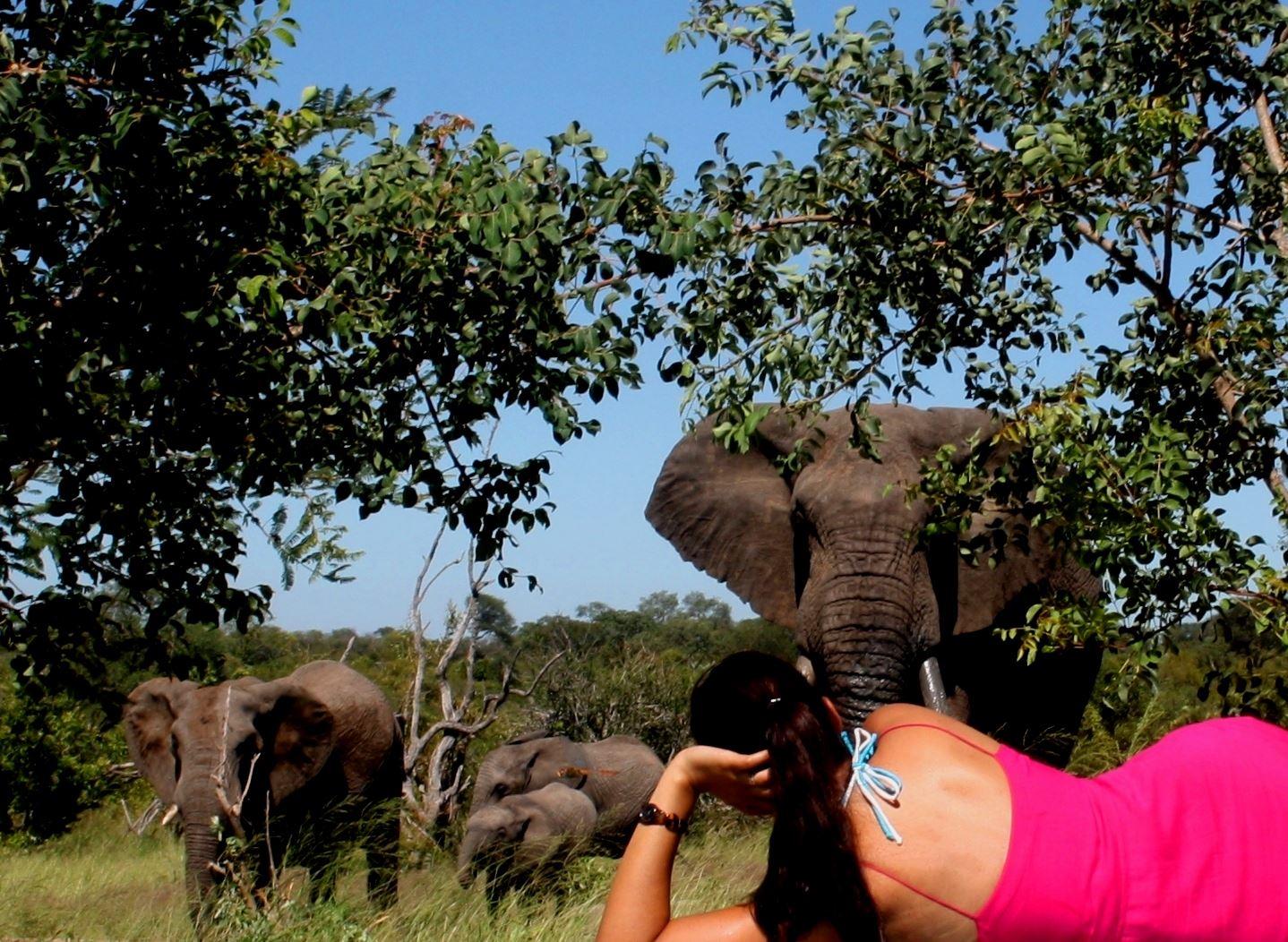 Baobab Ridge Greater Kruger | Accommodation Timbavati Reserve